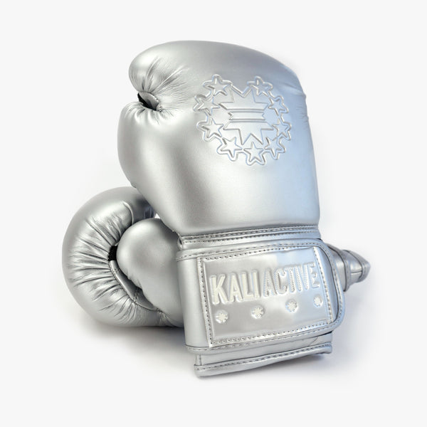 Black and silver boxing hot sale gloves