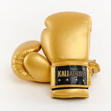 Gold Boxing Glove