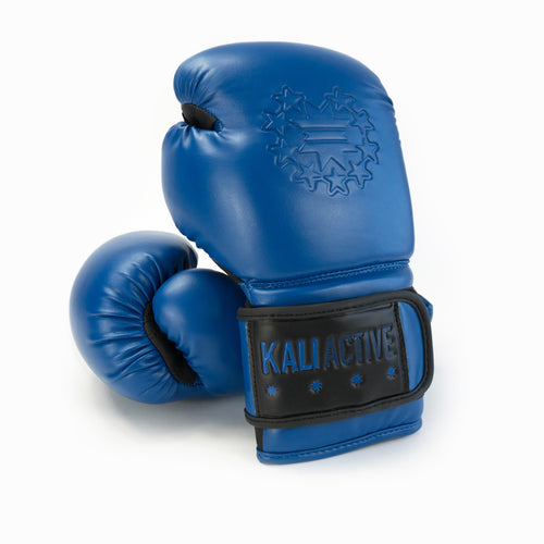 Royal Blue Boxing Gloves