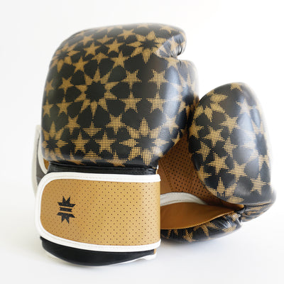 Premium Star Power Boxing Gloves